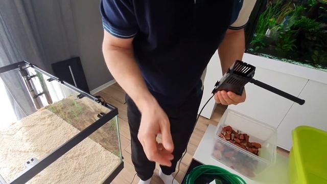 Аквариум для начинающих. Как запустить свой первый аквариум. Аквариум на 60 литров.