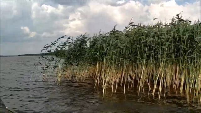 Путешествие на лодке вдоль берега Жижицкого. Наш выходной в деревне Спичино.