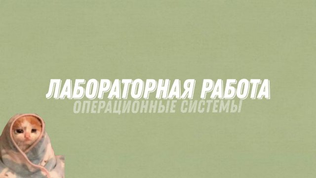 Операционные системы. Лабораторная работа №4. Презентация