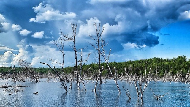 КАЖДЫЙ ЗАБРОС ТРОФЕЙ !!! ДЕСЯТКА ДЕЛАЕТ СВЕЧКИ! часть 2 Рыбалки по Братски 2021