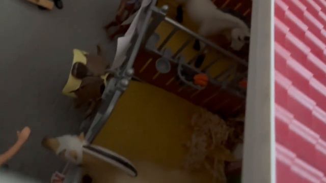 Обзор моего КСК Россия schleich