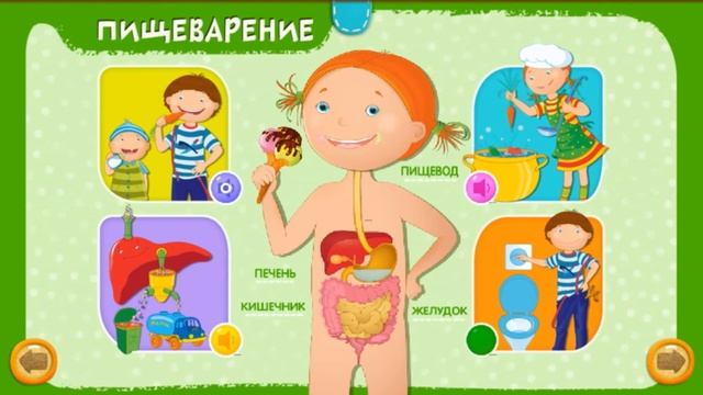 Анатомия Для Детей - как устроен человек? просто и понятно | окружающий мир - строение тела человек