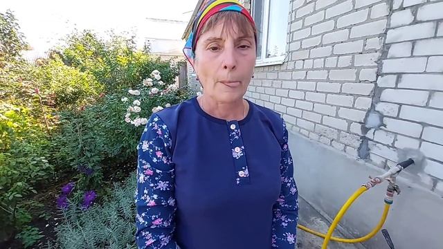 Подкормка роз осенью. Калимагнезия- головная боль розоводов.