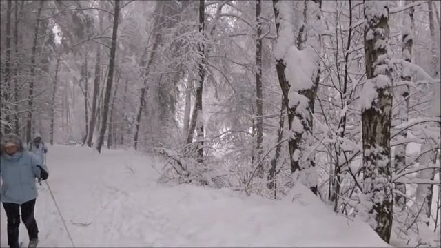 Снег кружится поет Анатолий Шуклин.mp4