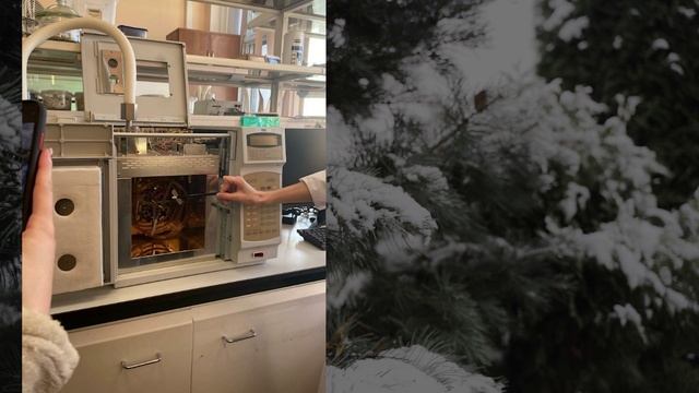 УГЛТУ - Дайджест 2023