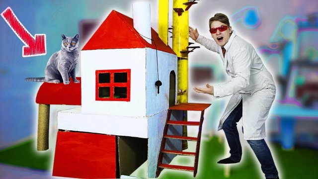 СДЕЛАЛ НЕОБЫЧНЫЙ ДОМ ДЛЯ СВОЕЙ КОШКИ.