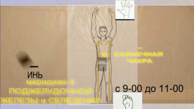 Принципы движения внутренней энергии человека