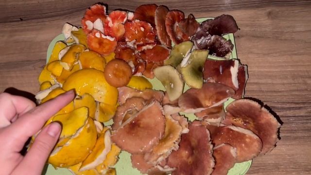 Сыроежки - вкусные грибы! Как готовить? Готовим грибы, ужин ?