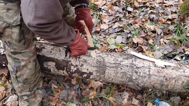 ПОХОД К ЛЕСНОМУ ОЗЕРУ | ОЗЕРО СВЯТОВСКОЕ | МИСТИЧЕСКОЕ ОЗЕРО |