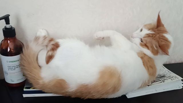 Кузя