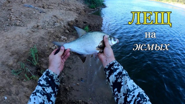 Ловлю ЛЕЩА на жмых с подсадкой кукурузы