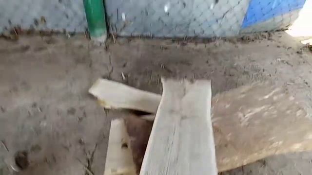 Сушка дуба в домашних условиях