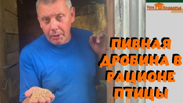 Пивная дробина: хороший и дешевый корм. "Мое Подворье"
