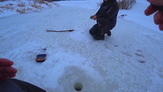 НА ЧТО ЛОВИШЬ? ПОКАЖИ МОРМЫШКУ! Уловистая безмотылка и смена проводки дали результат! Зимняя рыбалк