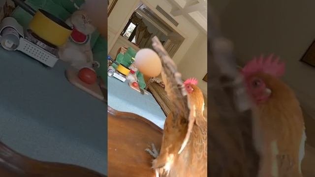 ??
