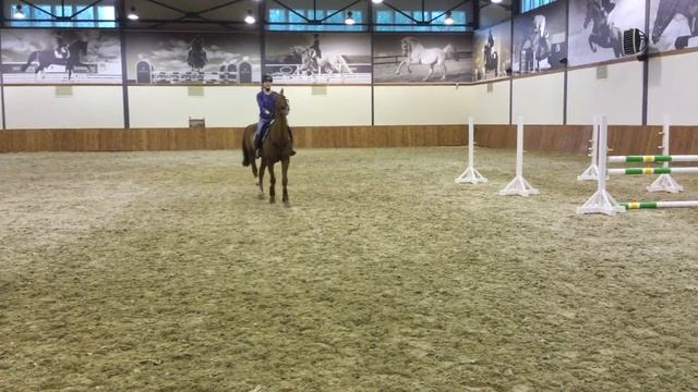 Данилова Ольга в КСК дубрава Тренировка 7 эпичное падение 18 04 2016