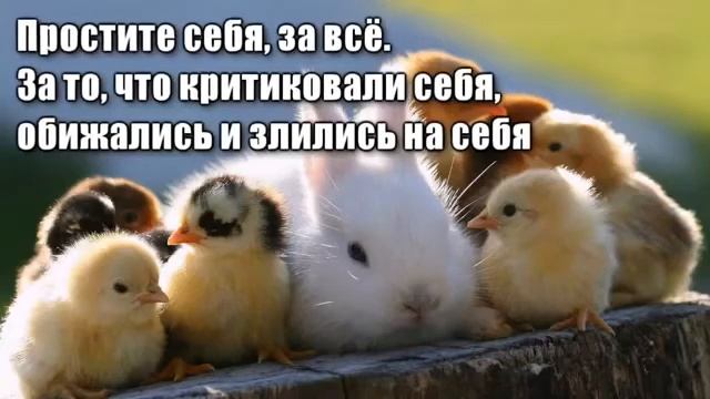 ПОЗИТИВНЫЙ НАСТРОЙ