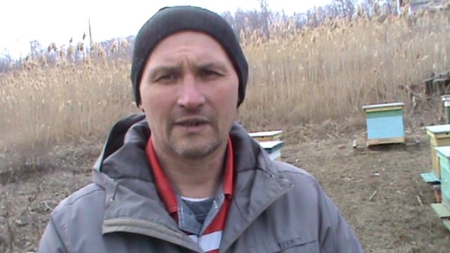 Обогрев для ульев Итоги зимовки 2020
