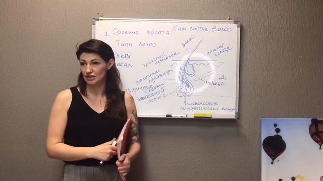 День первый. Урок 1. Строение волоса. Типы волос. Факты о волосах. Химический состав волос.
