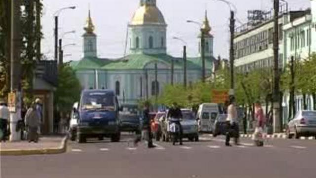 Тюльпаны