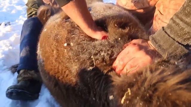 Деревенская жизнь в деревне. Традиции и обычаи сохранены до сих пор.