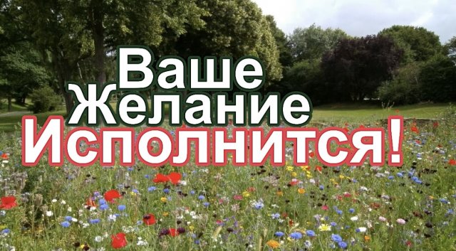 ВАШЕ ЖЕЛАНИЕ ИСПОЛНИТСЯ! Мощнейшая техника исполнения желаний!