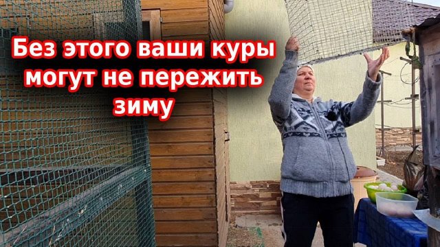 Куры зимой в неотапливаемом курятнике Мои куры несутся зимой как летом!