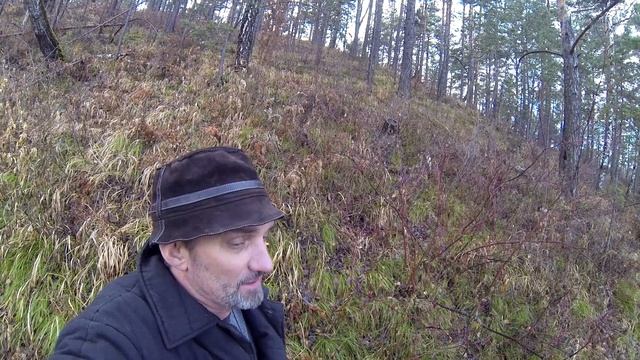 Барсучий жир что лечит? Туберкулёз, бронхит. Применение.
