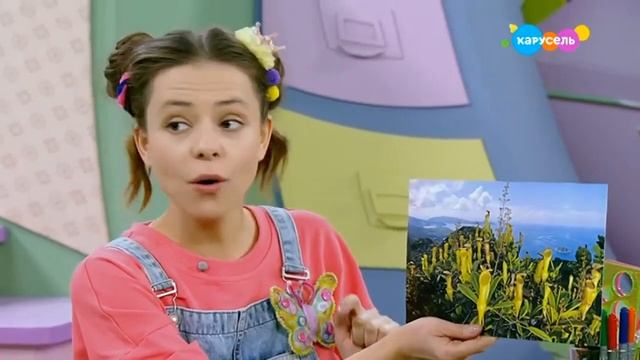 ? Мастерская УМЕЛЫЕ РУЧКИ | Венерина мухоловка ?️