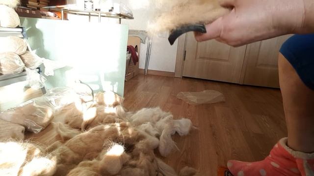 Изделия из собачьего пуха - 1 этап "Расчёсывание, теребление шерсти"