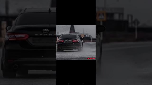 Рамзан Абумуслимов - красные розы🔥🔥🔥