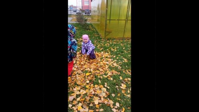 Фейерверк осенней листвы.mp4