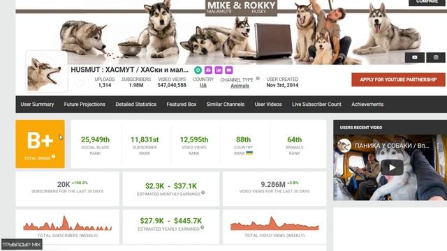 ХАСМУТ ХАСки и малаМУТ Обзор Ютуб канала