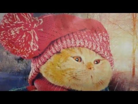 Дневник Кото сапиенса  31 декабря  Новый год