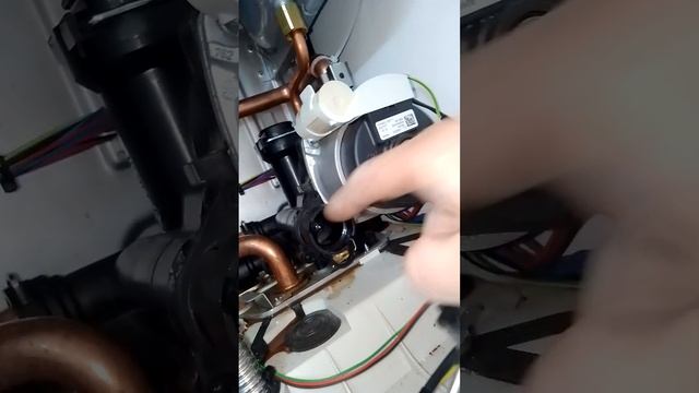 Протем рысь Конденсационный! Protherm lynx condens 30