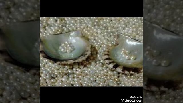 Метафизические свойства жемчуга || лечение через жемчуг ||  By   #GemStoneDeal
