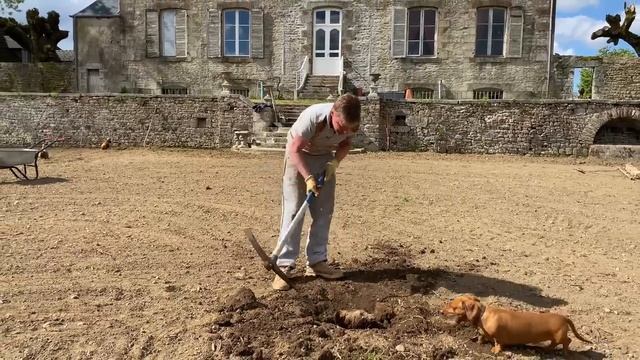 The Walled GARDEN MAKEOVER | Restoring the Châteaux Layout.