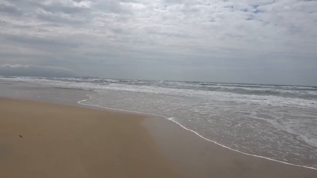 Везём Дарину в Санаторий ! Как Дарина устроилась . 14.04.23.