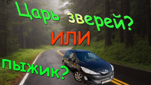 Пежо 308. Обзор. Тест-драйв. Peugeot 308 .