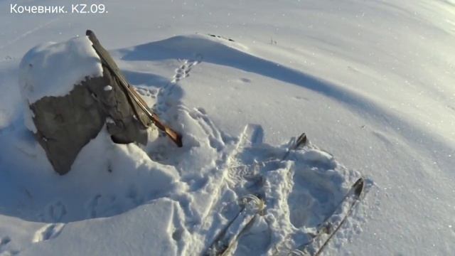 #Охота на зайца-русака. Лучшие моменты сезона января-февраля 2023 года.  часть - 2 ...