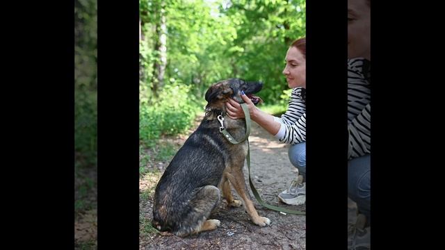 Виви.mp4