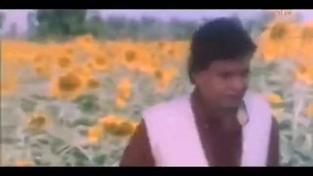 Сводный брат (Индия) 1985г