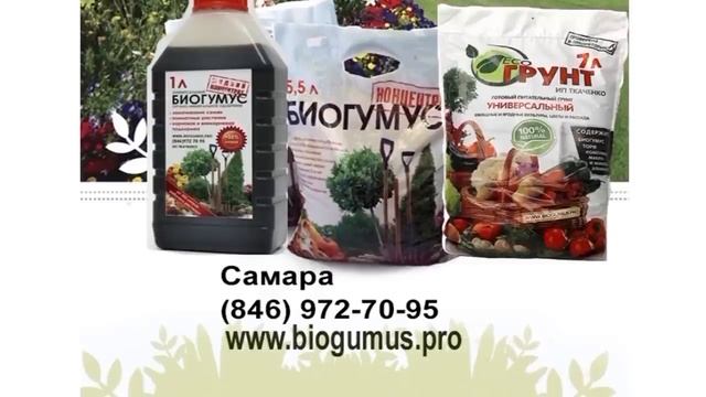 Дачные советы Галины Старосельцевой Июль 14-2022