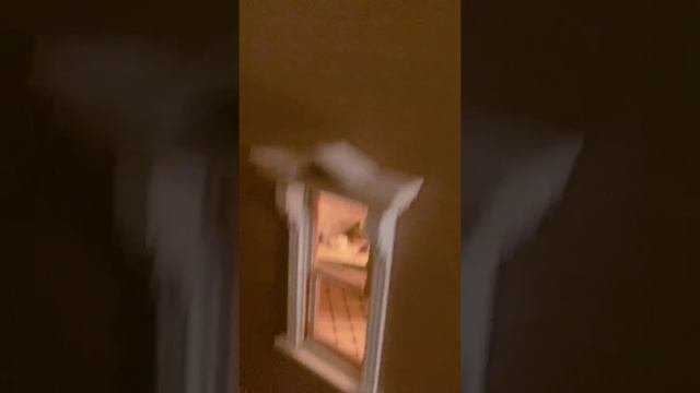 под микроскопом
