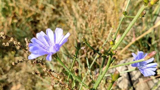 Запахи и ароматы. Приметы. (Запах в доме, запах неоткуда или запах во сне)