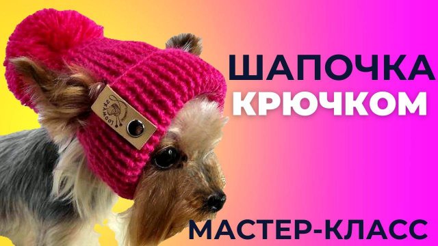 Шапочка для собаки крючком: Простой и подробный мастер-класс