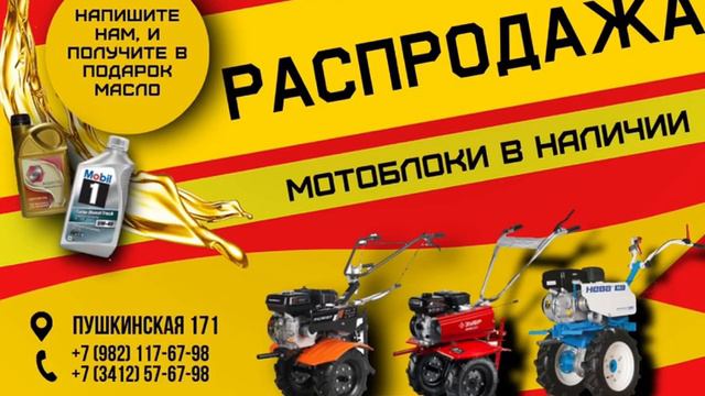 Сад и Дача
