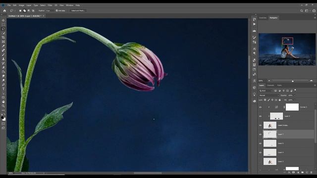 Study Digital Art Photoshop Manipulation Tutorial