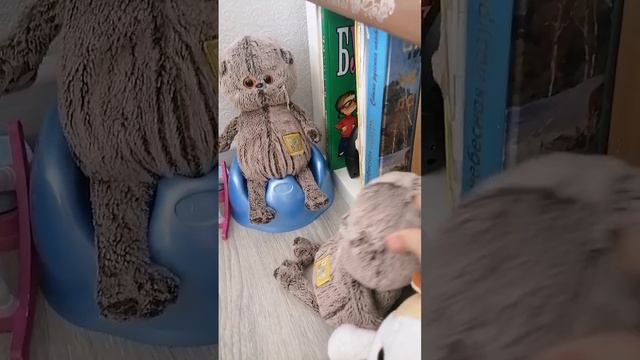 Утро моих басиков