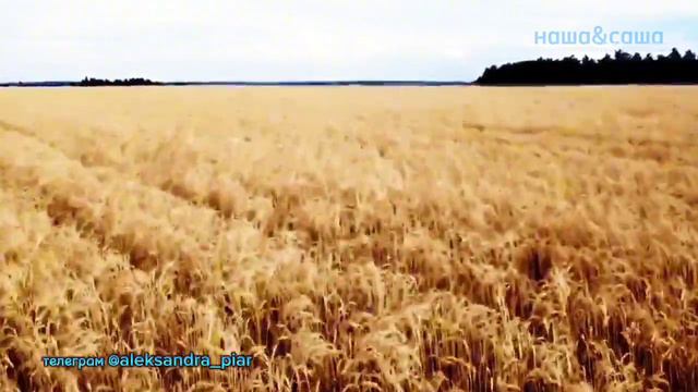 Девушка Мечта